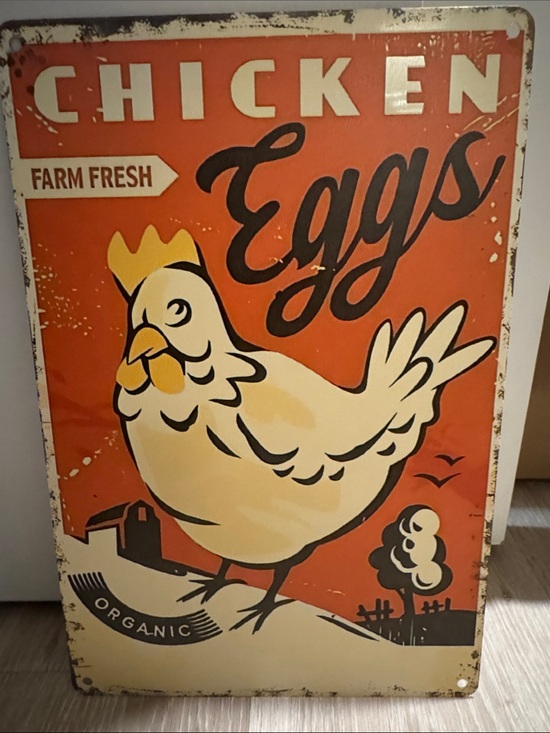 Garden Deco Other - Rustic Chicken Eggs Farmhouse Metal Wall Decor NEW 🏷️